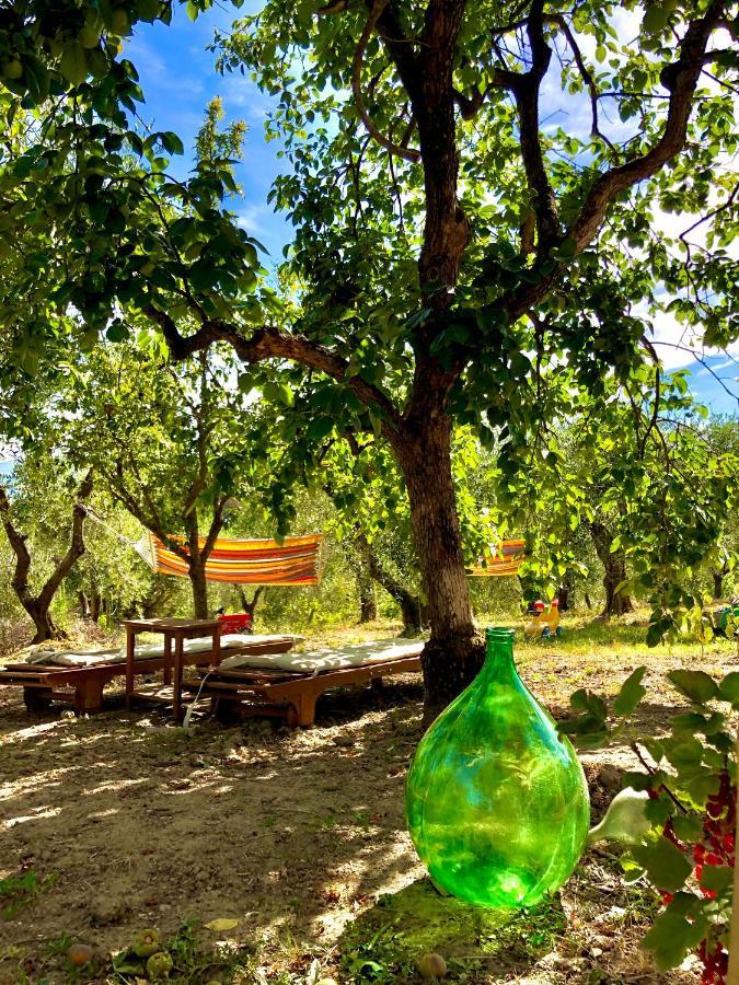 Selvatelle Casa Loumavi B&B 외부 사진
